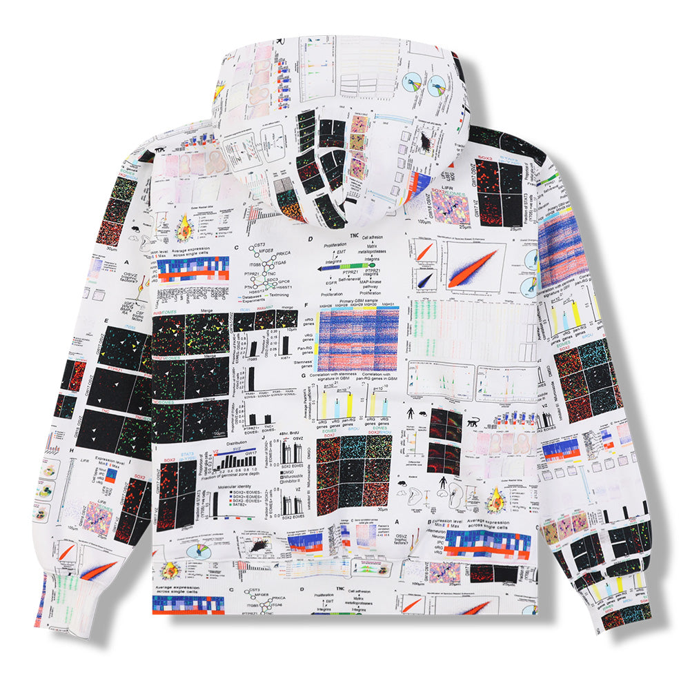 Pleasures Textbook Pullover Hoodie