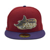 New Era Cap 5950 Tampa Bay Devil Rays Tropicana Field Side Patch - FR Exclusive