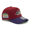 New Era Cap 940 A-Frame Tampa Bay Devil Rays Tropicana Field Side Patch - FR Exclusive