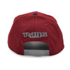 New Era Cap 940 A-Frame Tampa Bay Devil Rays Tropicana Field Side Patch - FR Exclusive