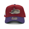 New Era Cap 940 A-Frame Tampa Bay Devil Rays Tropicana Field Side Patch - FR Exclusive